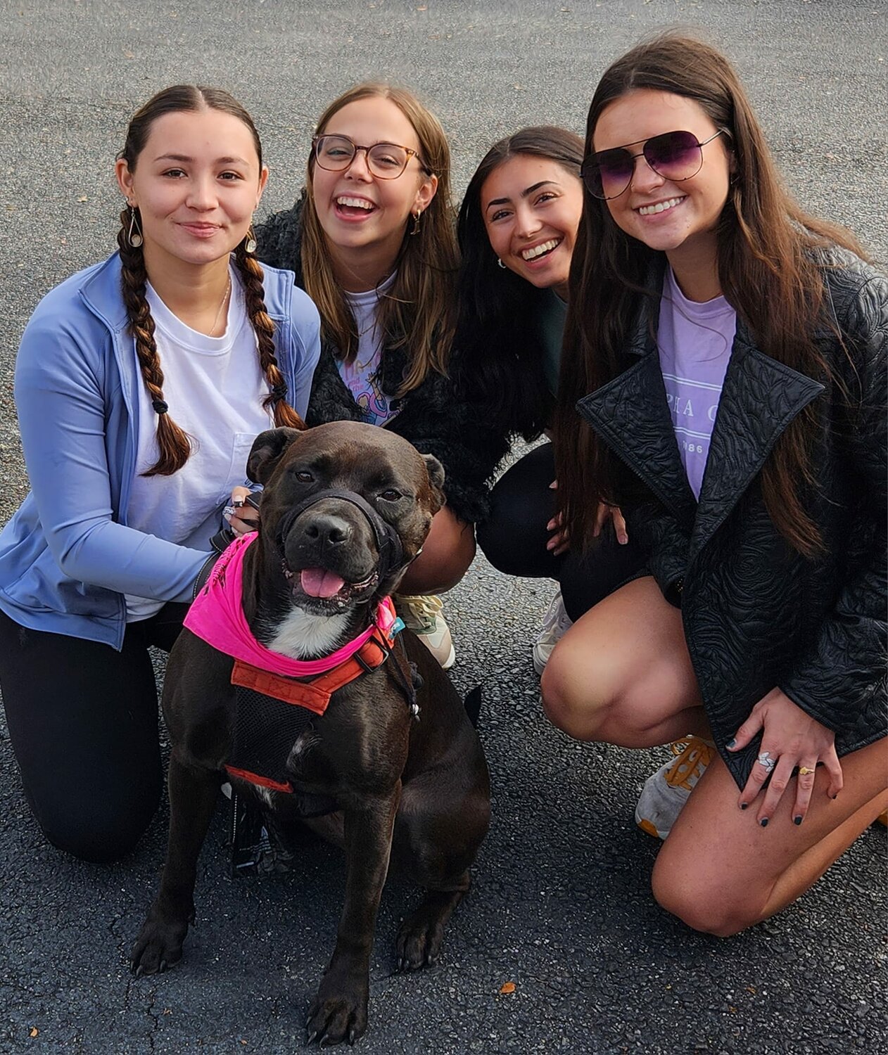 Members of Phi Alpha Omega spending time with Sweetie during the adoption event.